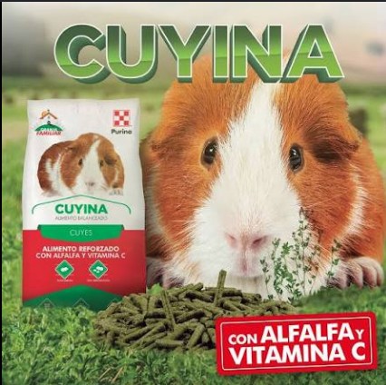 cuyina x kilo