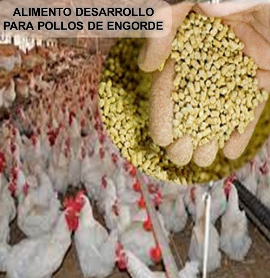 engorde para aves x kilo