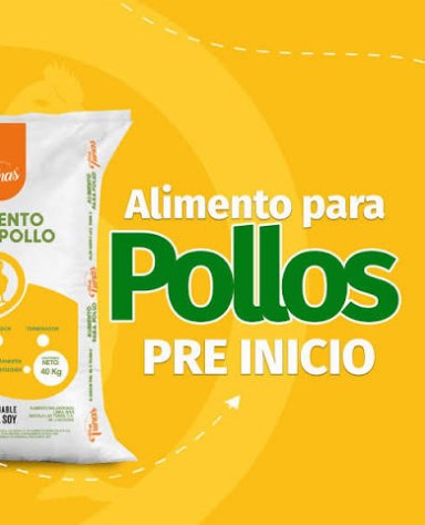 pre inicio x kilo