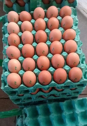 huevos x kilos
